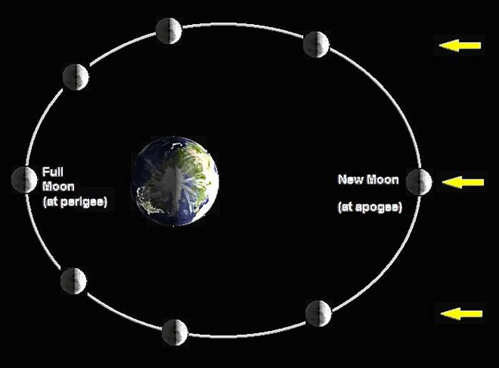 Ϊʲô����ô�೬��������