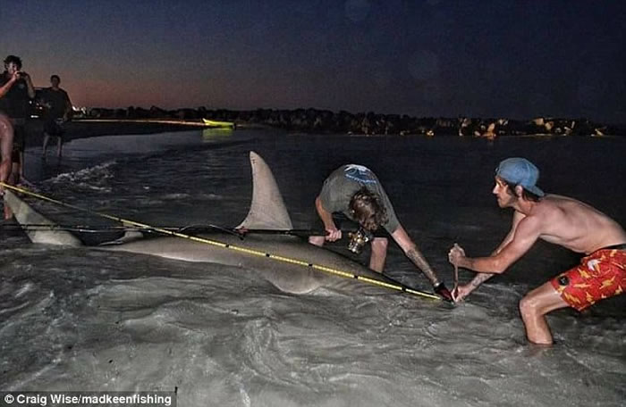 ������˹��������ɹ�����3.85�׳���ͷ�� ������������ʧ�����¼