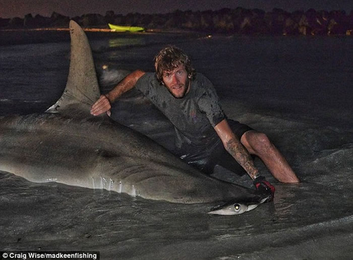 ������˹��������ɹ�����3.85�׳���ͷ�� ������������ʧ�����¼