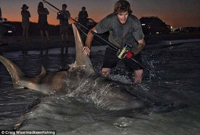 ������˹��������ɹ�����3.85�׳���ͷ�� ������������ʧ�����¼