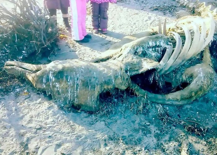 ����˹�������ָ��ö���ʬ�塣