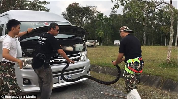 ̩ѧУʻ԰ 4׳۾복ͷ