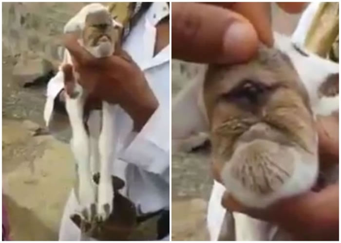 ���ж��������ֵĶ�����״�����ء�