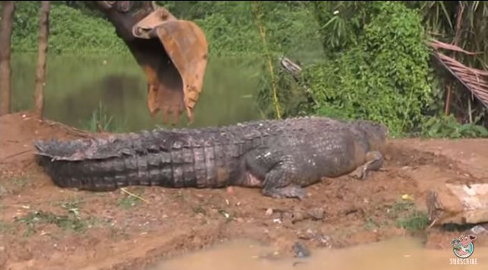 ˹������һ������5�׵ľ���������ˮ����