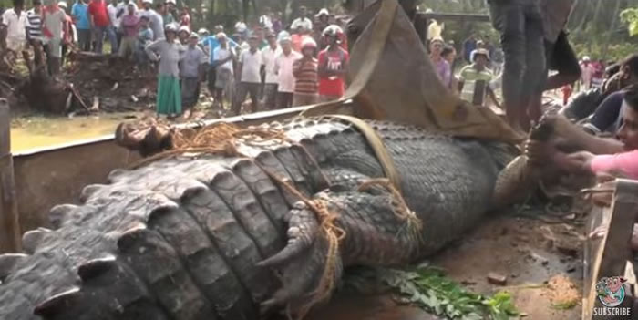 ˹������һ������5�׵ľ���������ˮ����