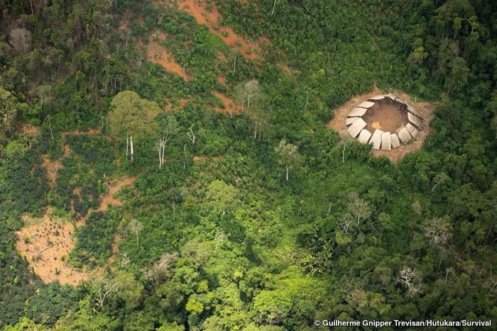 �������ֳ�ìŭָ�ɻ�������ѷ��ŵ���ײ��䣨Yanomami���˿������ӵ�����