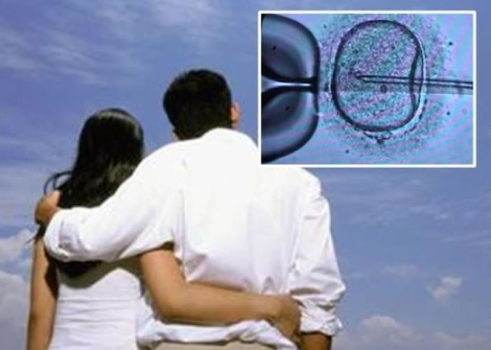 ������������з򸾼����Թ�Ӥ���ɹ��ʡ�