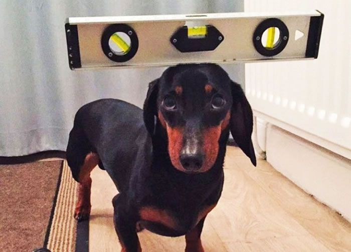 ������������ӭ��