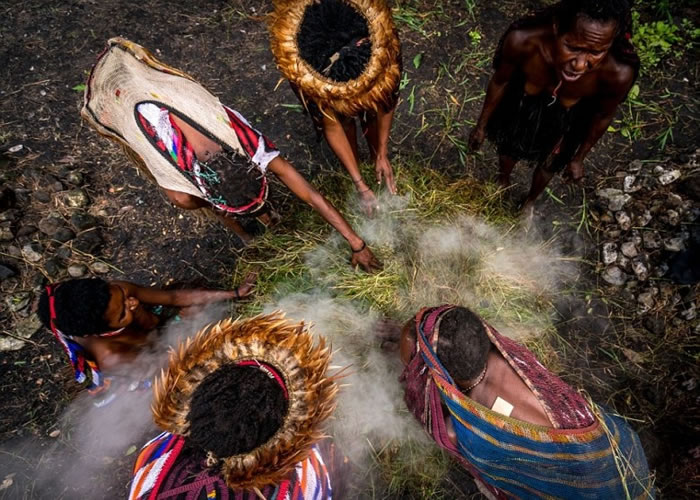 ��Ů�ڲݶ�����ʳ��