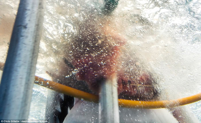 ������Ӱʦ��ī����Ǳˮ�������ͻϮҧ����������