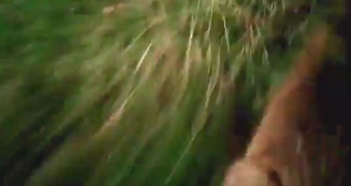 �����о���Ա�ڲ�ӥͷ����װ��¼�����㵽����Ұ�ù���