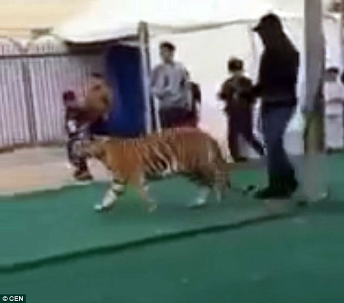 ɳذмһֻѵϻͻȻһԹŮͯ