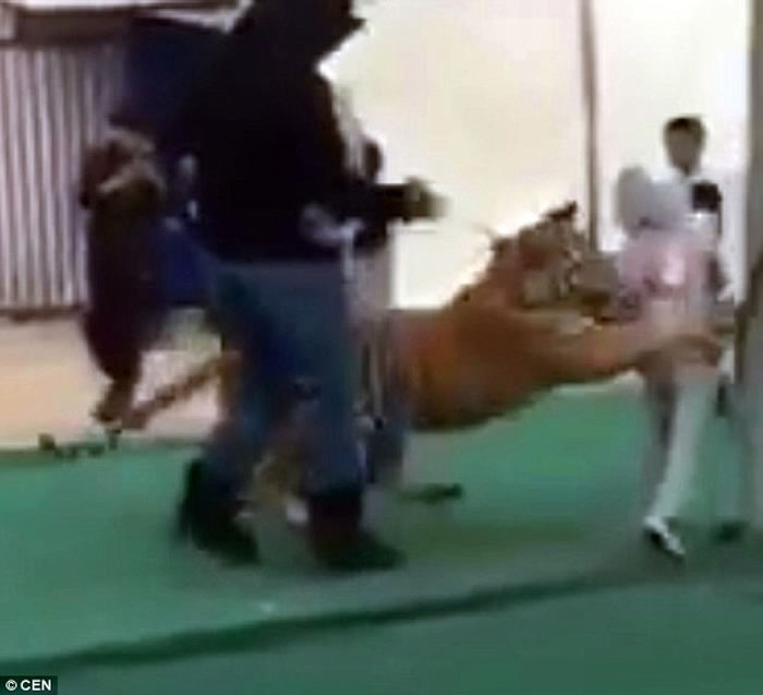 ɳذмһֻѵϻͻȻһԹŮͯ