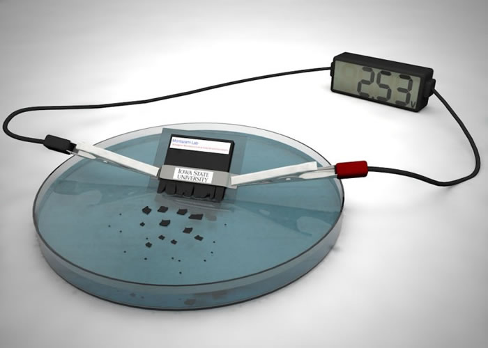 锂电池遇水后,可生物降解。
