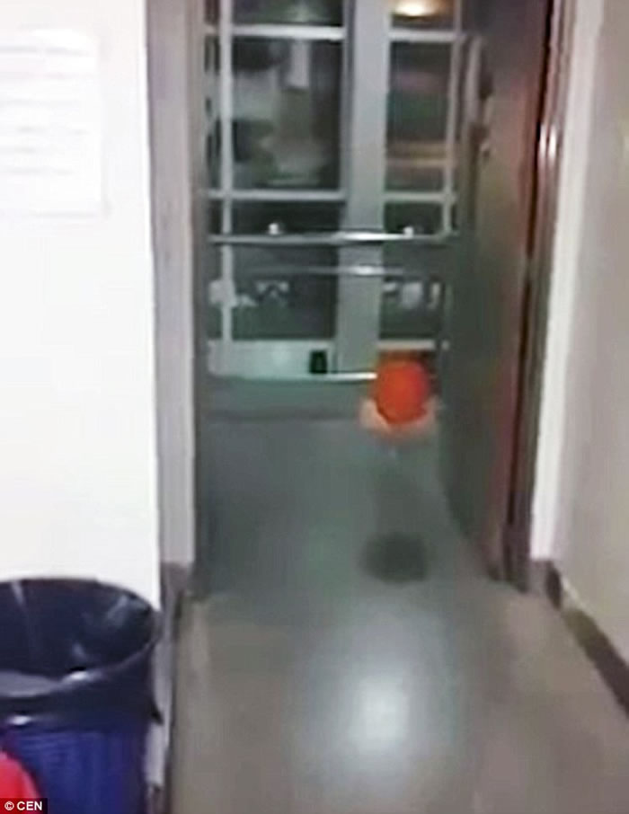 ͢ҽԺ¼ֲҽԺְԱת