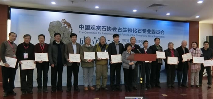 中国观赏石协会古生物化石专业委员会成立大会在京召开