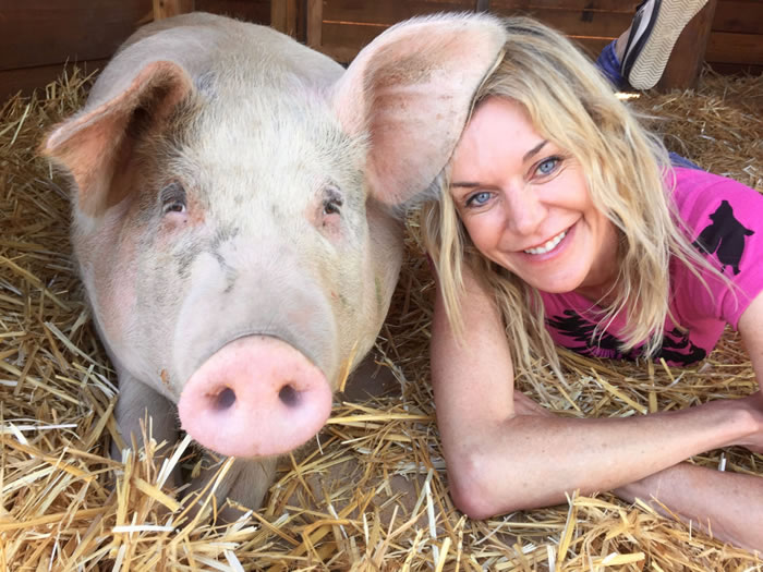 ����ϼ������Ϸ�С��Pigasso���밹�����׳� ҧ�ʸ˻����ͷ�������