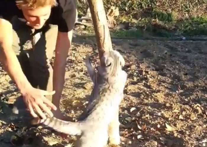 ���Ҳ�Ҫ�ؼң�����������������ץ���ɲ���