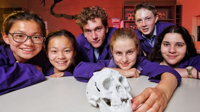澳大利亚墨尔本卫斯理学院的学生成功使用3D打印技术复制出史前人类哈比人头盖骨