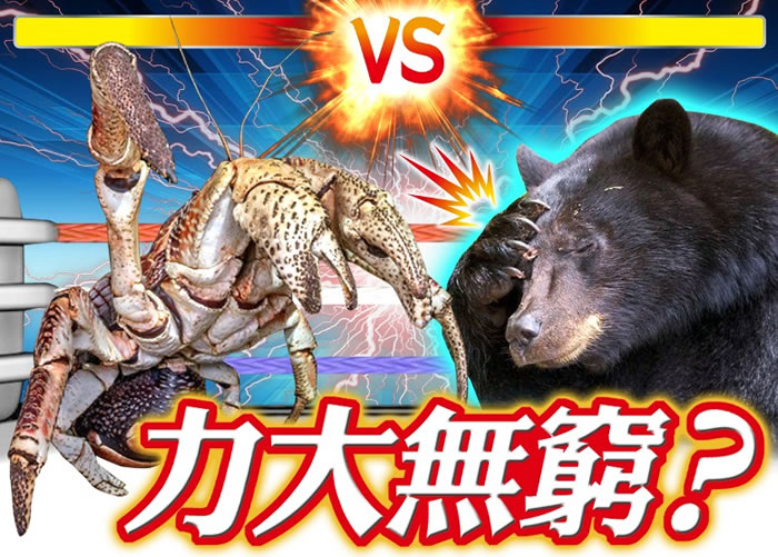 Ҭз󣩵ļȺܣңҧҪ