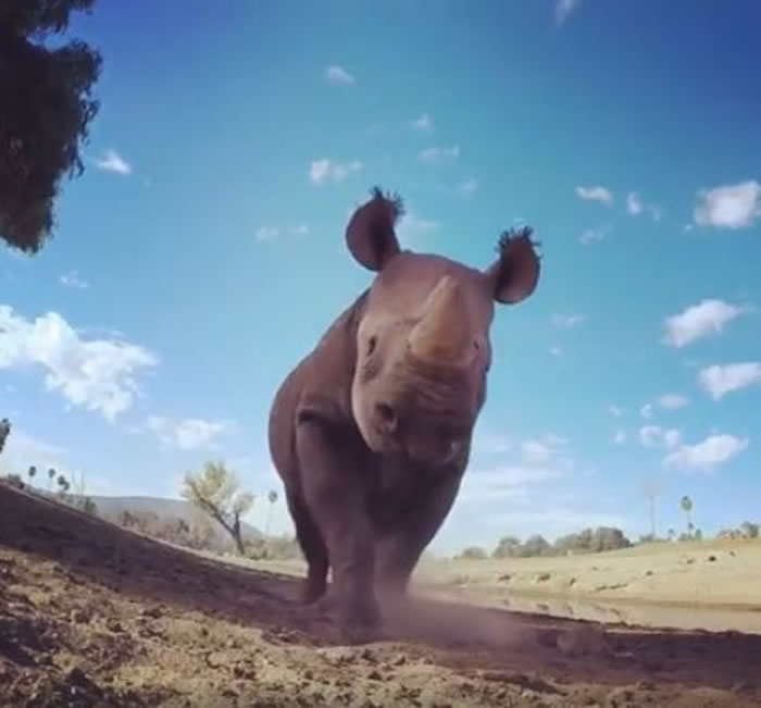 ����ʥ�����綯�﹫԰��Ϭţ����Ӱ���ŵ�