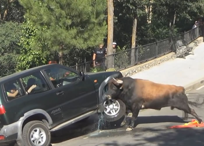 四驱车前方车身几乎甩脱,更漏出一些相信是汽油的液体。