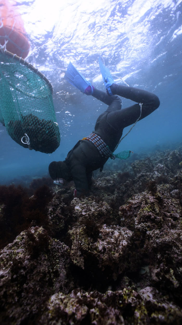联合国教科文组织正式将韩国济州海女文化列入人类非物质文化遗产