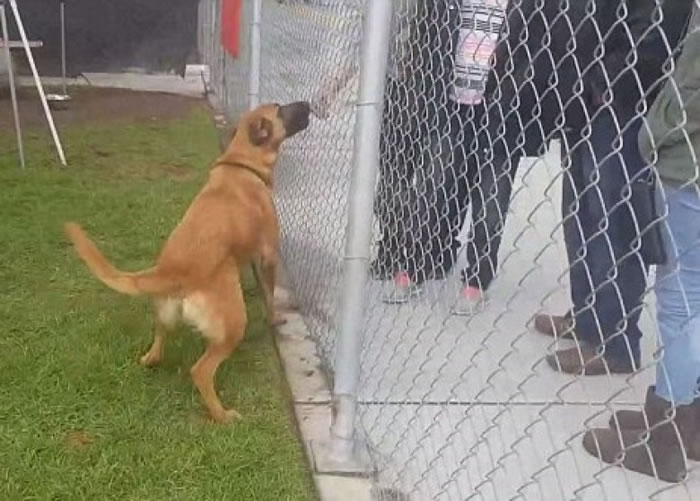 ������Ϊ�������������ӻ����ģ������ӻؼң����Ļ�ϲ��