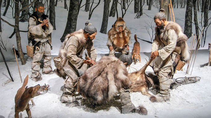 史前日本墓穴表明狗仍然是远古人类最好的狩猎伙伴