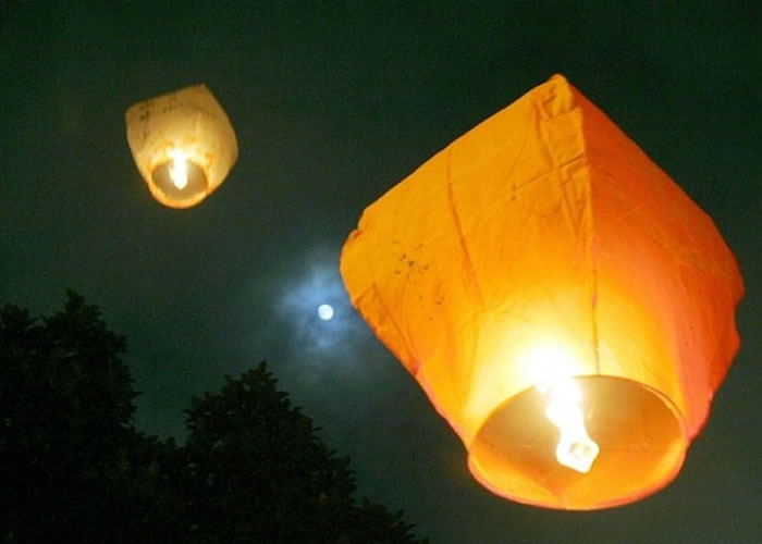 ��ƽ�����л������Ųݵء���֦�ȵ���ȼ������