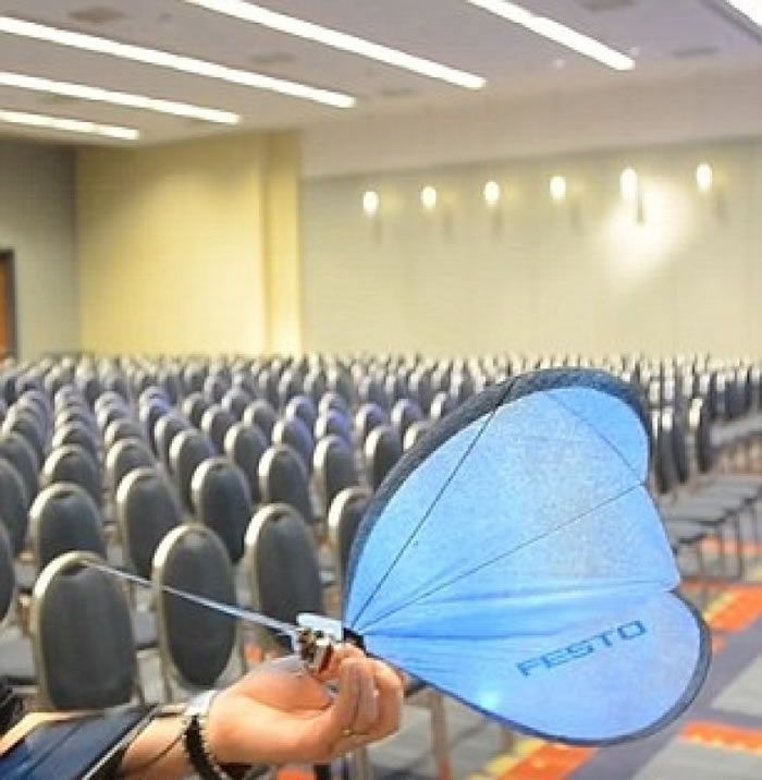 机器蝴蝶能拍翼起舞。