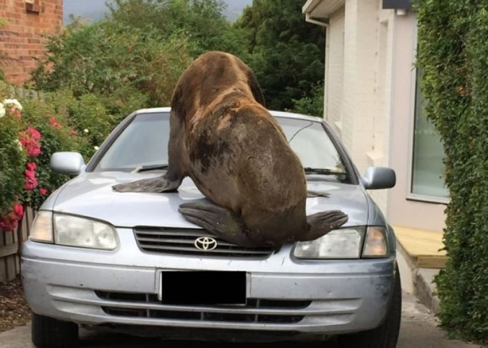 ��������һ������ڵĳ�����