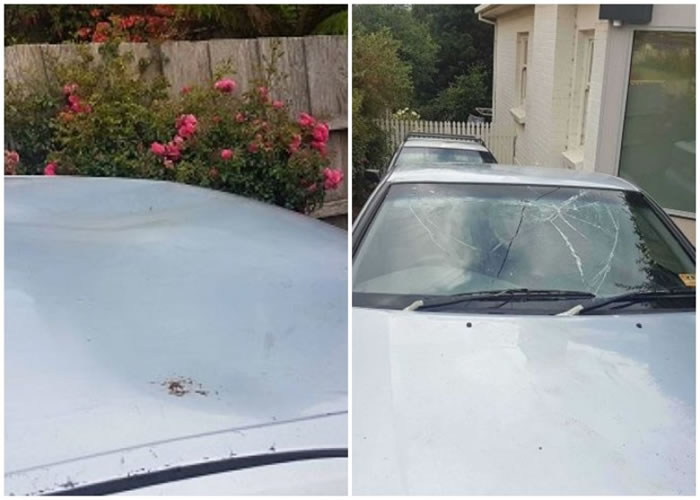 ����ǰ���Ǳ�ѹ�����ݣ����粣�������ƻ���