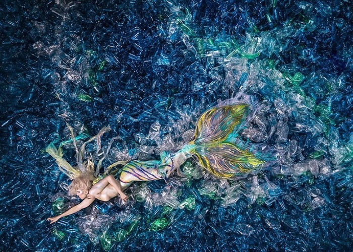 美人鱼挣扎求存。