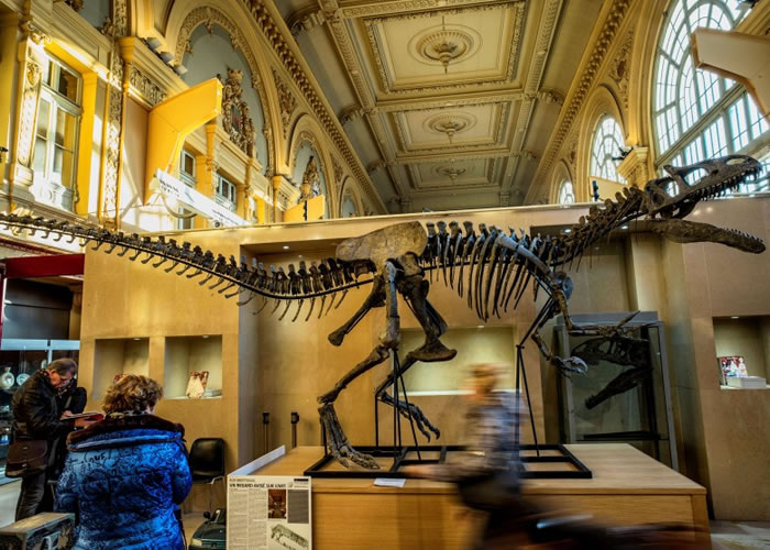 拍卖行展示Kan的骸骨。