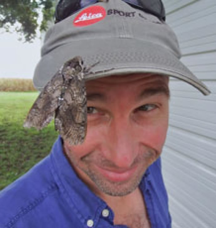 ��������ͼ����Ϊ���Ǻ����������Ǩ����Ϊ��