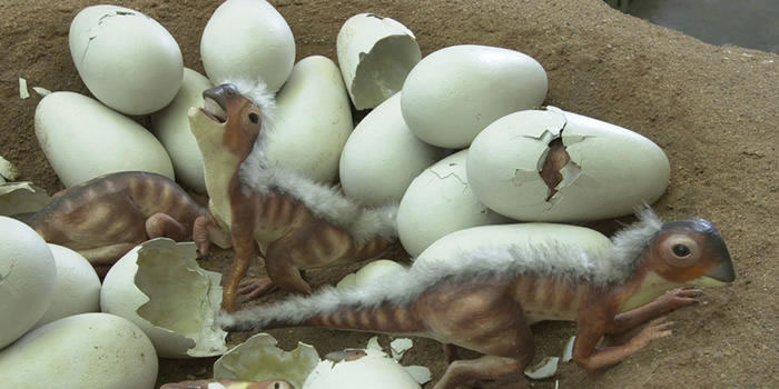 �������ķ����ڿɴ����� ���ܸ��������ж������������