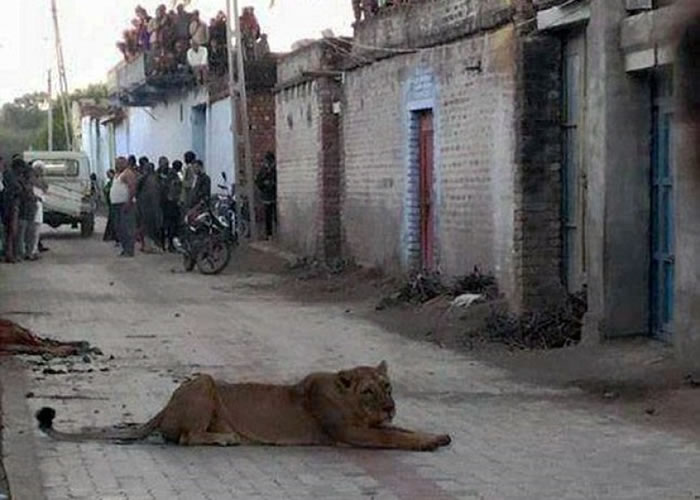 ĸʨ��̯�ڴ�ڣ�����ʮ�ֺ��¡�