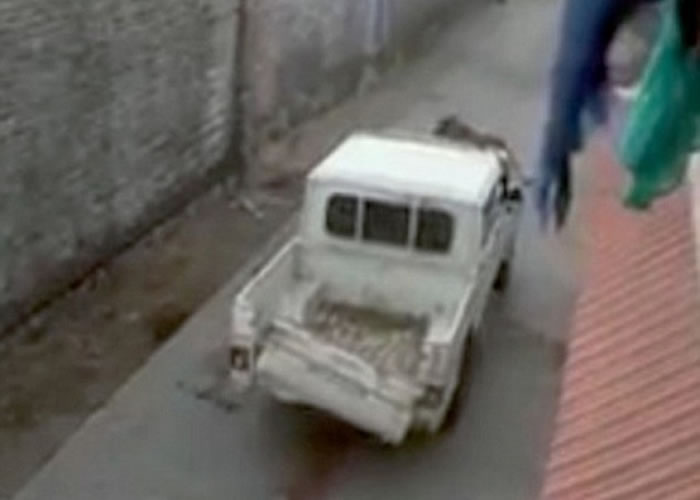 һ���󿨳���ǰʻ����Щ��ĸʨ��ײ����