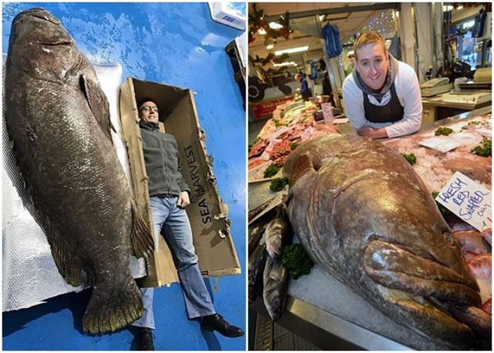 423�����ϻ��ߣ�����������ʲô�ˣ�