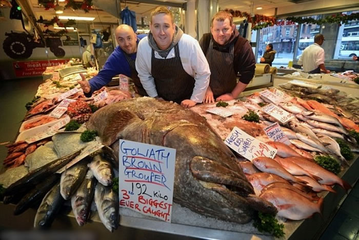 ����ң��У���δ�������������㡣