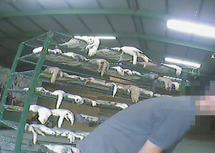 �������󱻹������С�