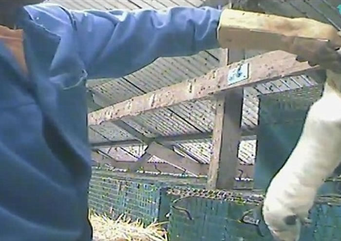 ���˵�����������