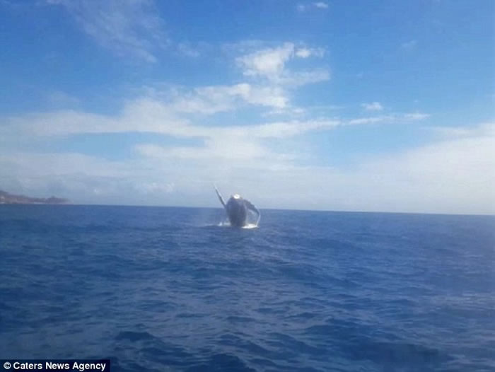 ������ʿ�����ӻ�ˮ���� ������ͷ���������Ծ��