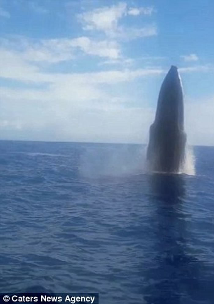 ������ʿ�����ӻ�ˮ���� ������ͷ���������Ծ��