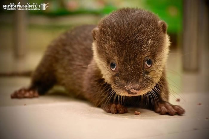 پֵСצˮ̡˴͵ߣ˻ȡ