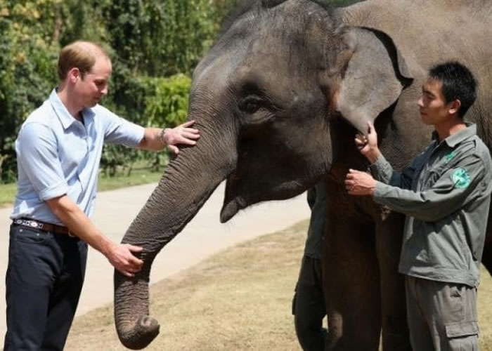 �������ӣ��������з���ֹ�������ס�