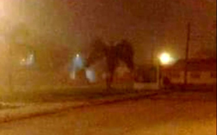 ��������ɣ�������ơ�������ħ������ ���ѳ��������