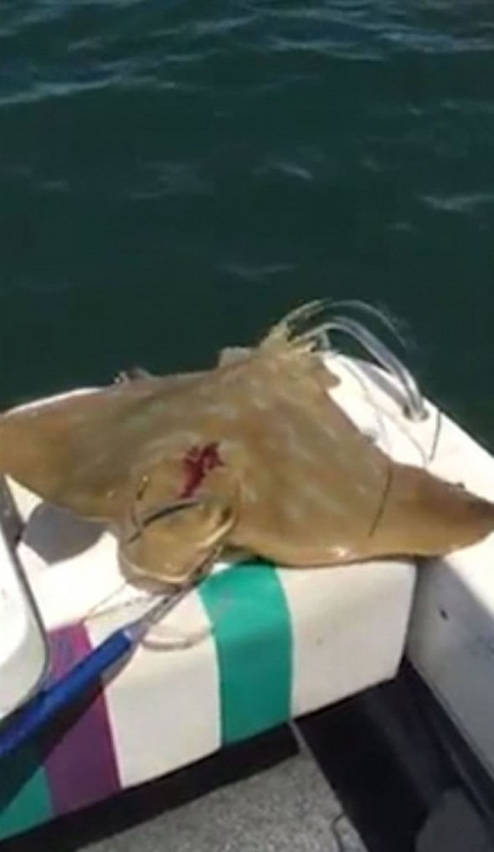 ħ������˿ڲ���������Ѫ��