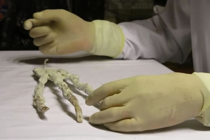 ��˹�ؽ���צ�ͽ����顣